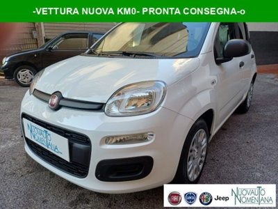 Fiat Panda 1.0 firefly hybrid s&s 70cv 5p.ti nuova