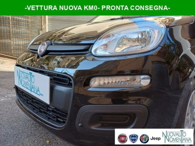 Fiat Panda 1.0 firefly hybrid s&s 70cv nuova