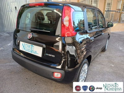 Fiat Panda 1.0 firefly hybrid s&s 70cv (6)