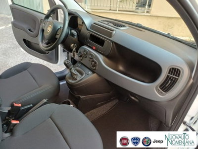 Fiat Panda 1.0 firefly hybrid s&s 70cv 5p.ti (17)