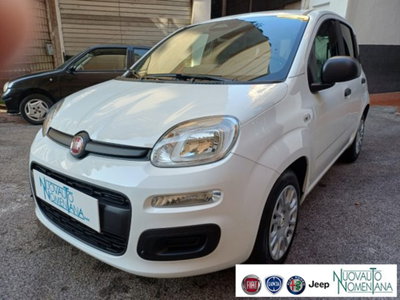 Fiat Panda 1.0 firefly hybrid s&s 70cv 5p.ti (2)