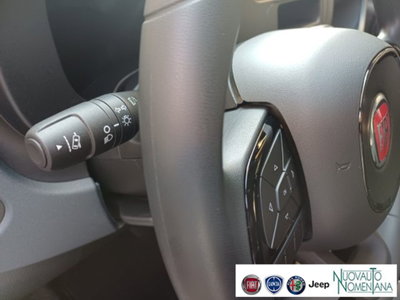 Fiat Panda 1.0 firefly hybrid s&s 70cv 5p.ti (15)