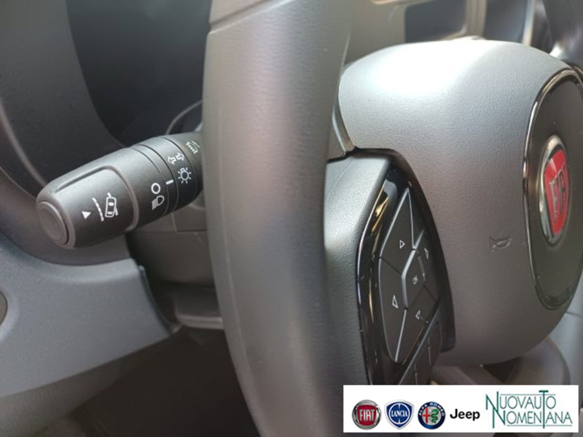 Fiat Panda 1.0 firefly hybrid s&s 70cv (15)