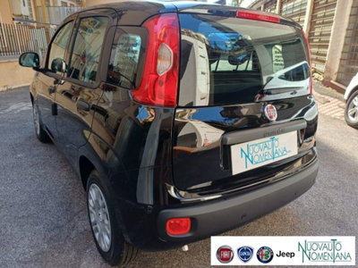 Fiat Panda 1.0 firefly hybrid s&s 70cv 5p.ti (10)