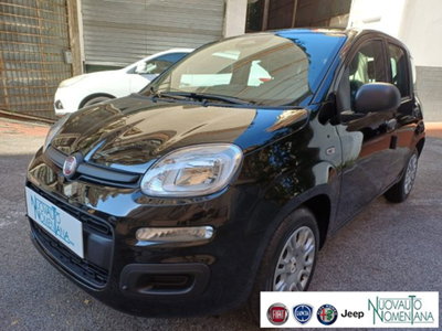 Fiat Panda 1.0 firefly hybrid s&s 70cv 5p.ti (2)