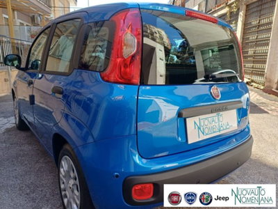 Fiat Panda 1.0 firefly hybrid s&s 70cv 5p.ti (10)