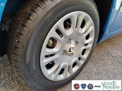 Fiat Panda 1.0 firefly hybrid s&s 70cv 5p.ti (4)