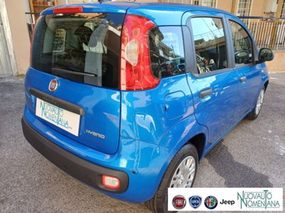 Fiat Panda 1.0 firefly hybrid s&s 70cv 5p.ti (6)