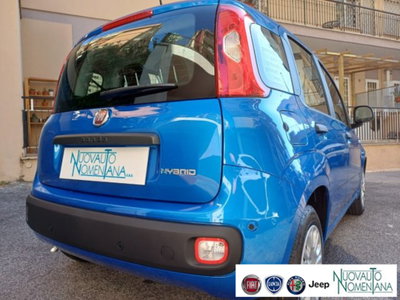 Fiat Panda 1.0 firefly hybrid s&s 70cv 5p.ti (8)
