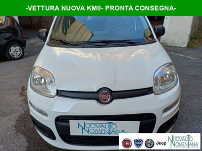 Fiat Panda 1.0 firefly hybrid s&s 70cv 5p.ti nuova