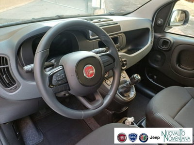 Fiat Panda 1.0 firefly hybrid s&s 70cv 5p.ti (13)