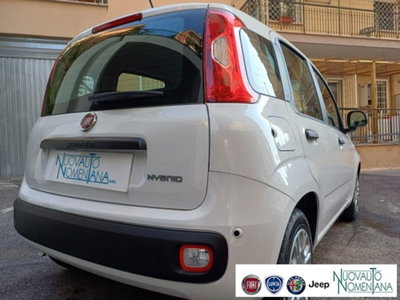 Fiat Panda 1.0 firefly hybrid s&s 70cv 5p.ti (9)