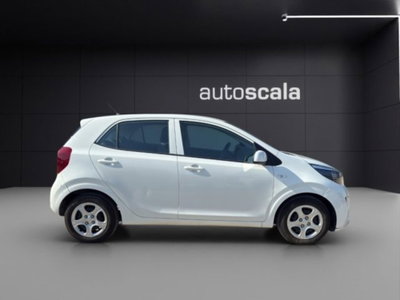 Kia Picanto 1.0 12V 5 porte Active (6)