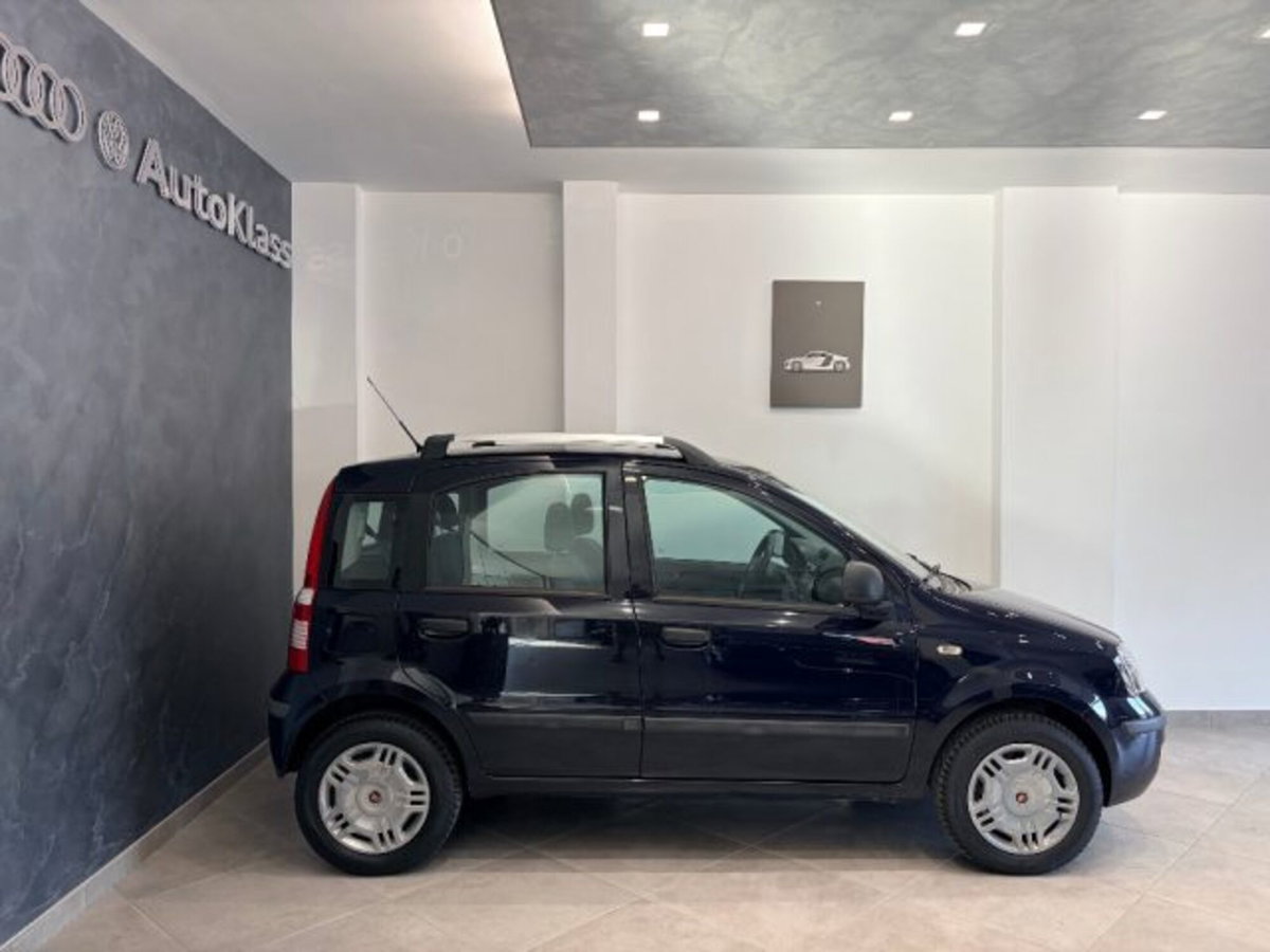 Fiat Panda 1.2 Dynamic Natural Power (3)