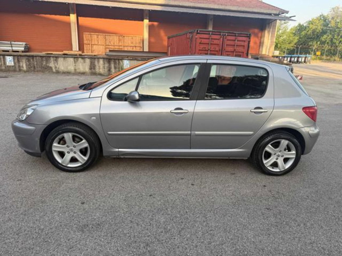 Peugeot 307 16V 5p. XSI (11)