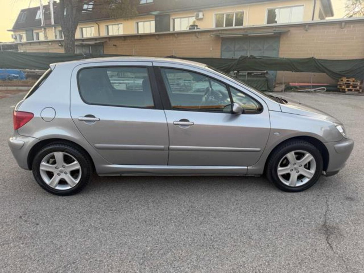 Peugeot 307 16V 5p. XSI (15)