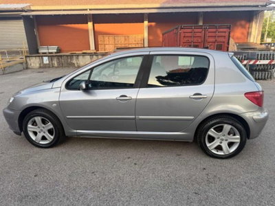 Peugeot 307 16V 5p. XSI (7)