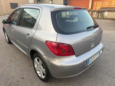 Peugeot 307 16V 5p. XSI (8)