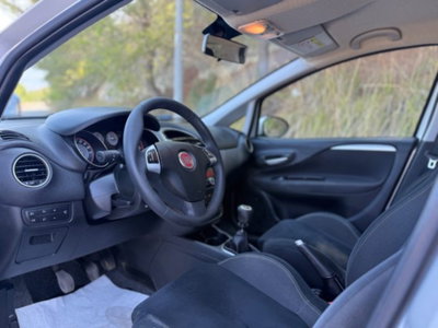 Fiat Punto 1.2 8V 5 porte Lounge (11)