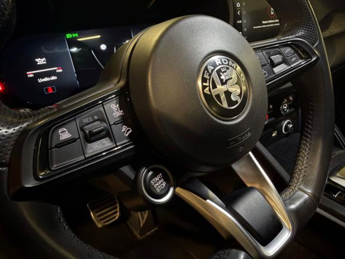 Alfa Romeo Stelvio Stelvio 2.2 Turbodiesel 160 CV AT8 RWD Super Business (16)