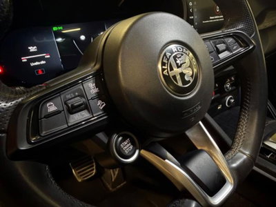 Alfa Romeo Stelvio Stelvio 2.2 Turbodiesel 160 CV AT8 RWD Super Business (16)