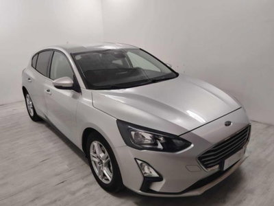 Ford Focus 1.5 EcoBlue 95 CV 5p. Business (2)