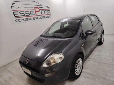 Fiat Punto 1.2 8V 5 porte Street usata