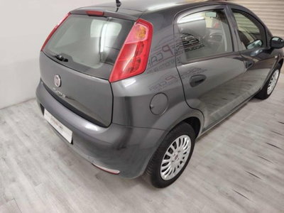 Fiat Punto 1.2 8V 5 porte Street (3)