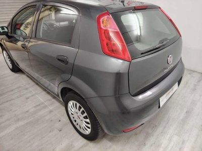 Fiat Punto 1.2 8V 5 porte Street (4)