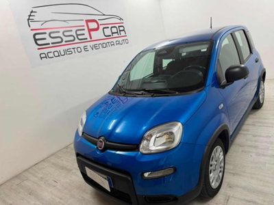 Fiat Panda 1.0 firefly hybrid s&s 70cv usata