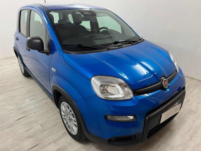 Fiat Panda 1.0 firefly hybrid s&s 70cv (2)