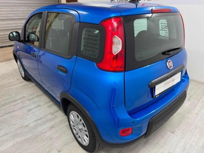 Fiat Panda 1.0 firefly hybrid s&s 70cv (3)