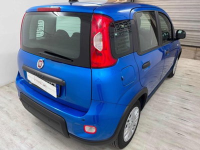 Fiat Panda 1.0 firefly hybrid s&s 70cv (4)