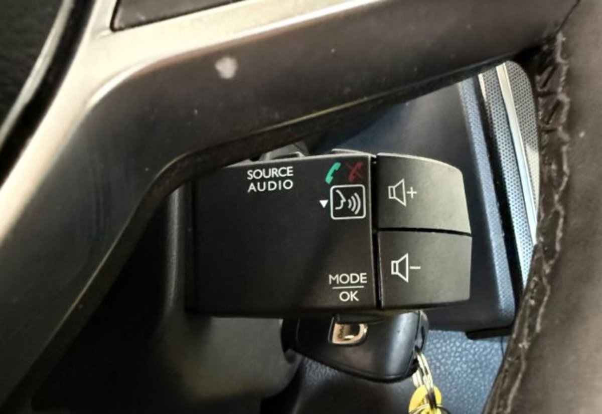 Dacia Sandero Stepway 1.5 dCi 8V 90CV (19)