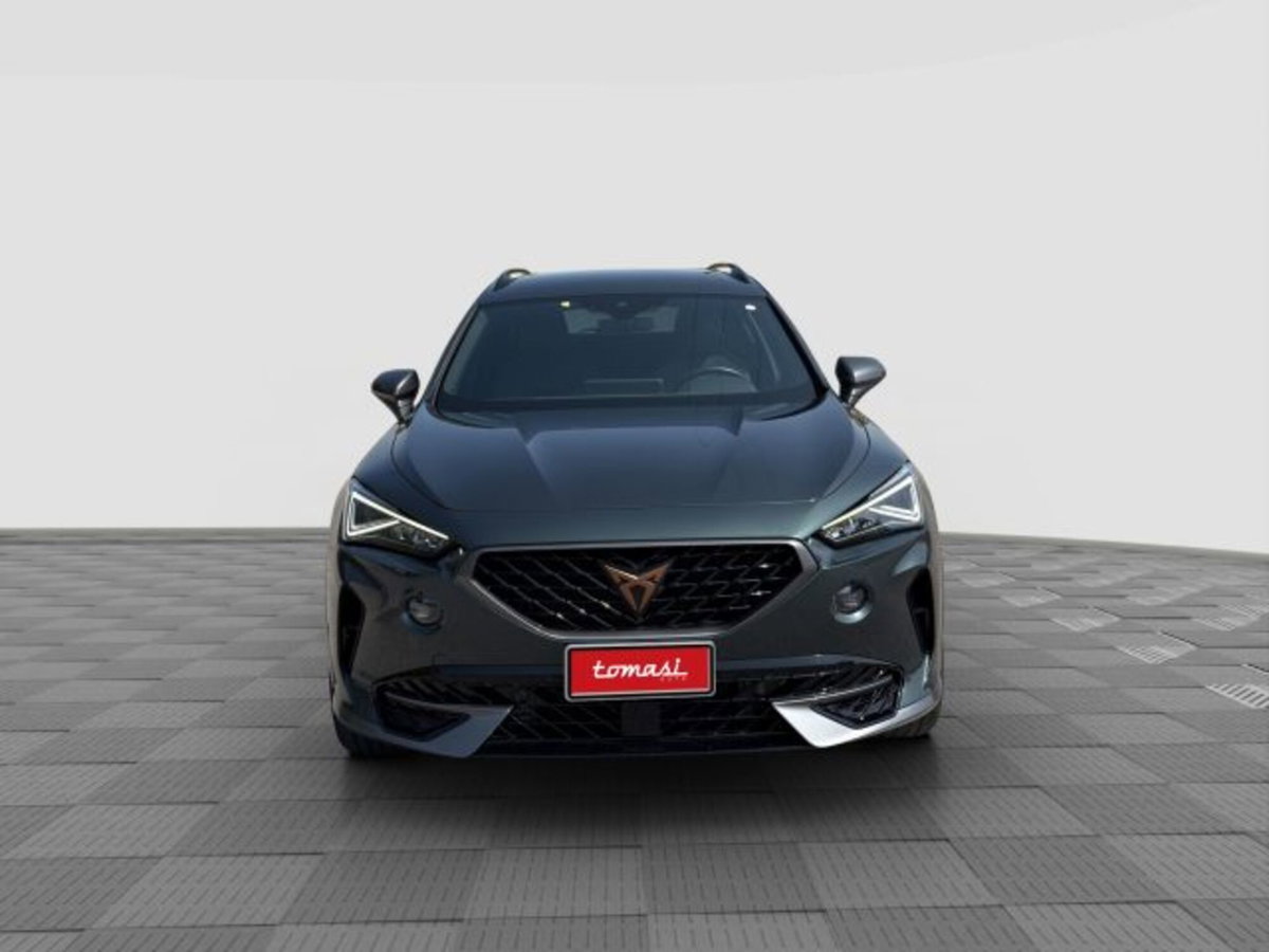 Cupra Formentor Formentor 1.5 TSI (8)