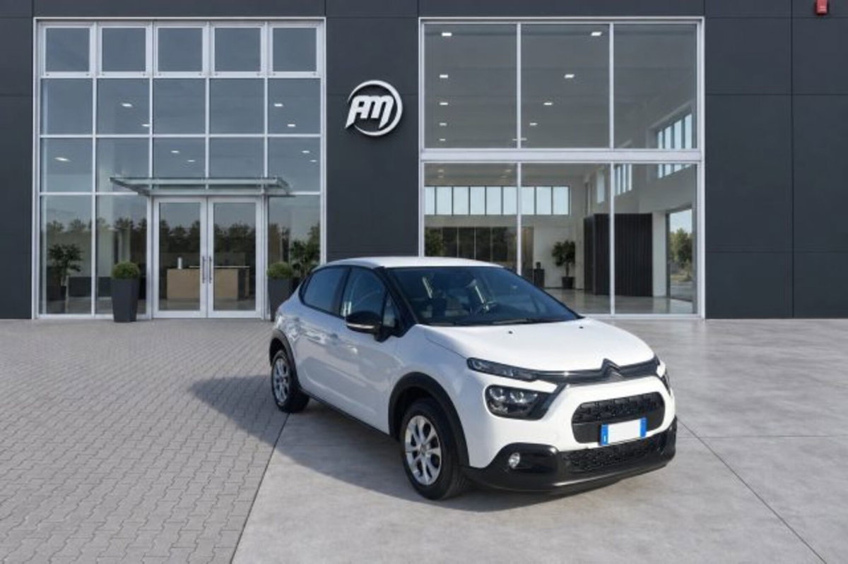 Citroen C3 BlueHDi 100 S&S Van Feel (2)