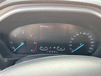 Ford Focus 1.5 EcoBlue 120 CV automatico 5p. Active X (12)