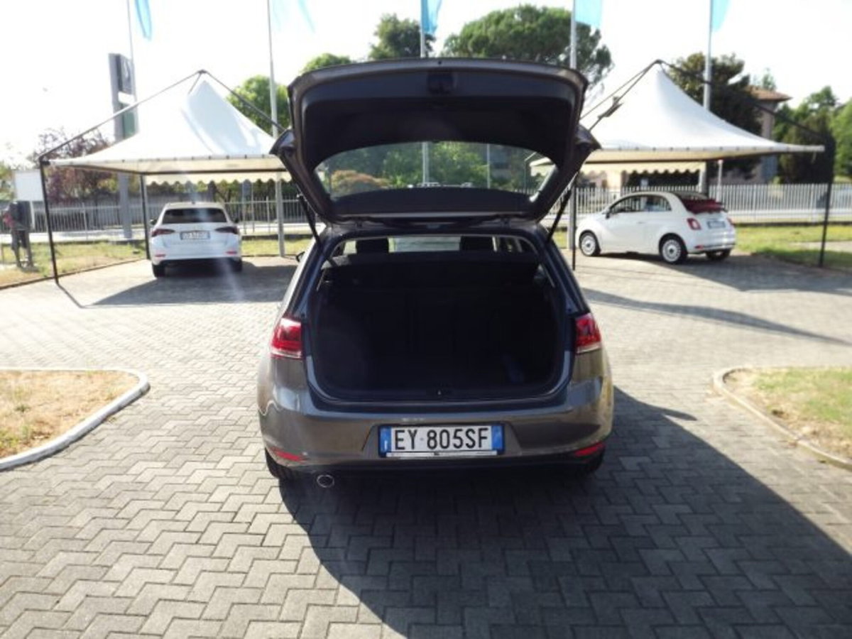Volkswagen Golf 1.6 TDI 110 CV 5p. Sport Edition BlueMotion Technology (18)