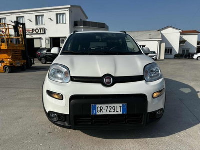 Fiat Panda 1.0 firefly hybrid s&s 70cv (2)