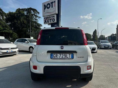 Fiat Panda 1.0 firefly hybrid s&s 70cv (5)