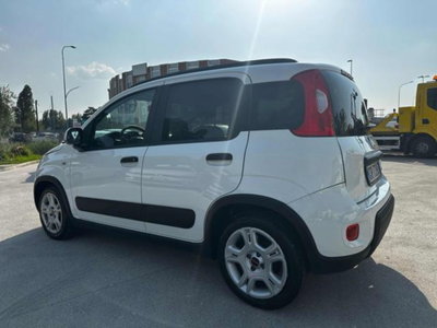 Fiat Panda 1.0 firefly hybrid s&s 70cv (6)