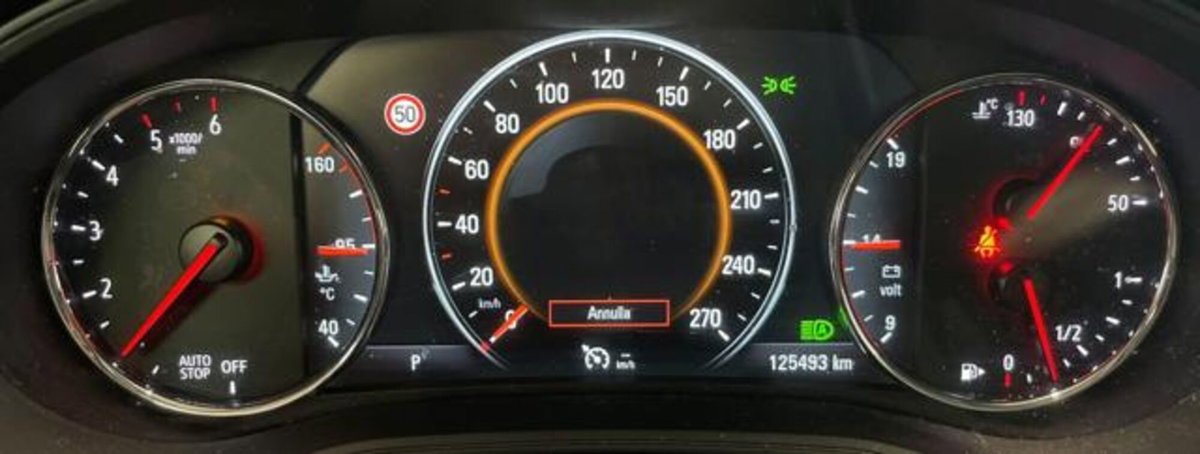 Opel Insignia Station Wagon 1.6 CDTI ecoTEC 136CV S&S aut.Sports Advance (15)