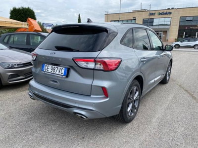 Ford Kuga 1.5 EcoBlue 120 CV 2WD ST-Line (3)