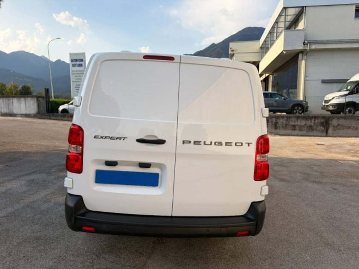 Peugeot Expert Furgone BlueHDi 140 S&S EAT8 PL-SL-TN Furgone Premium Long (6)