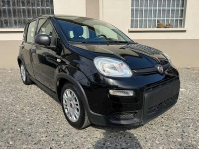 Fiat Panda 1.0 firefly hybrid s&s 70cv 5p.ti (3)