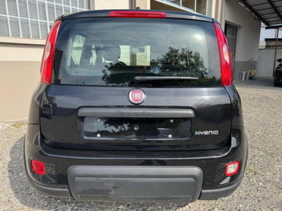 Fiat Panda 1.0 firefly hybrid s&s 70cv 5p.ti (5)