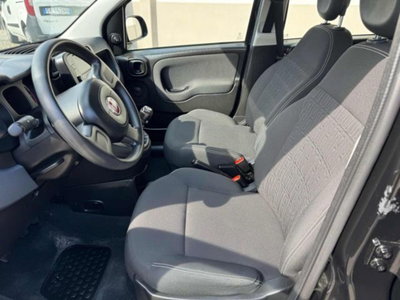 Fiat Panda 1.0 firefly hybrid s&s 70cv 5p.ti (8)