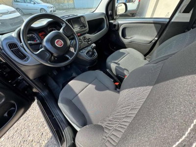 Fiat Panda 1.0 firefly hybrid s&s 70cv 5p.ti (10)