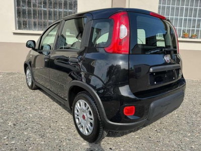 Fiat Panda 1.0 firefly hybrid s&s 70cv 5p.ti (4)