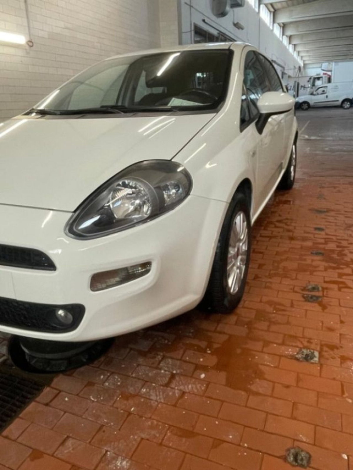 Fiat Punto 1.2 8V 5 porte Lounge (10)